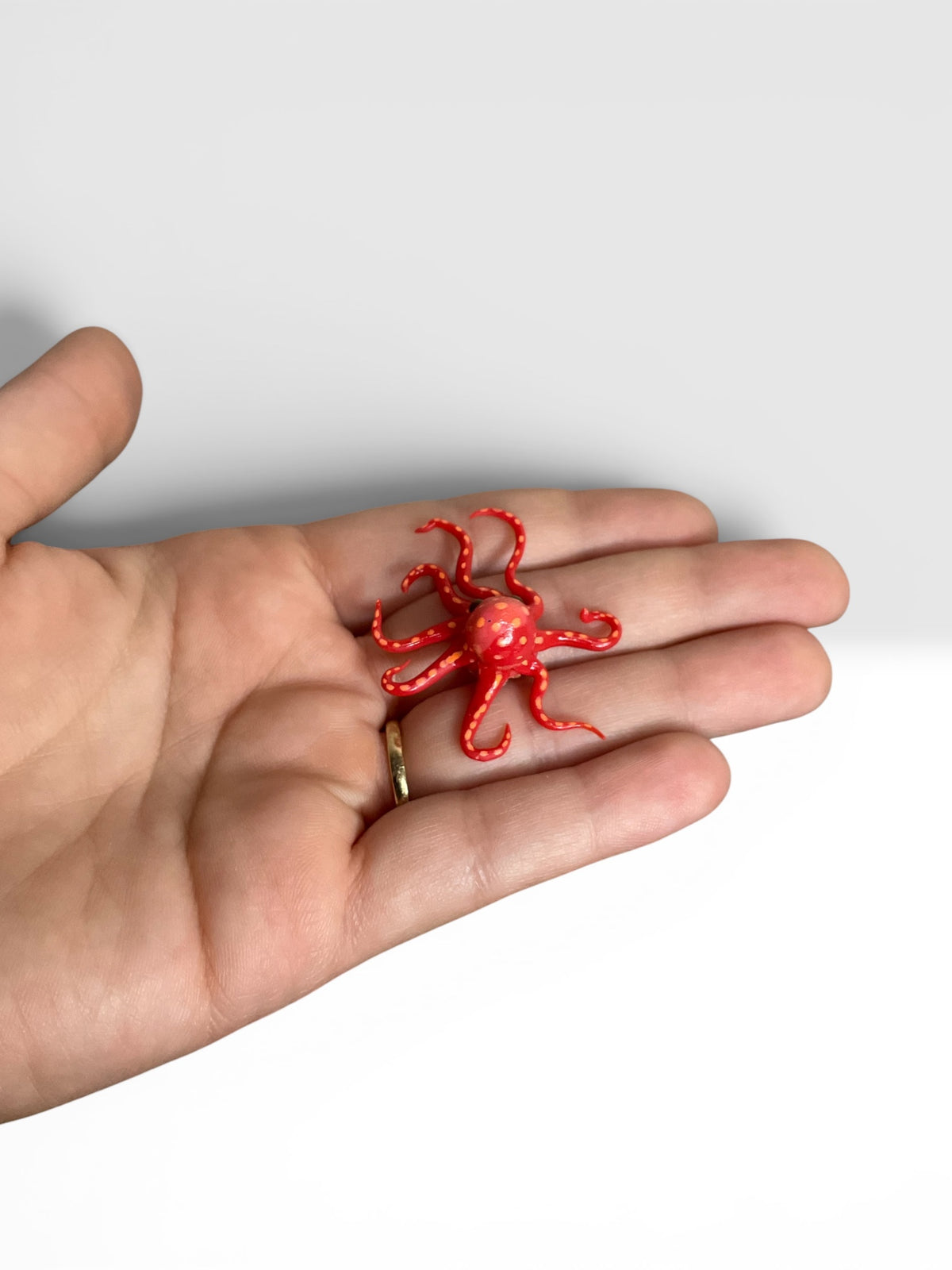 Squib - Mini Octopus ✨