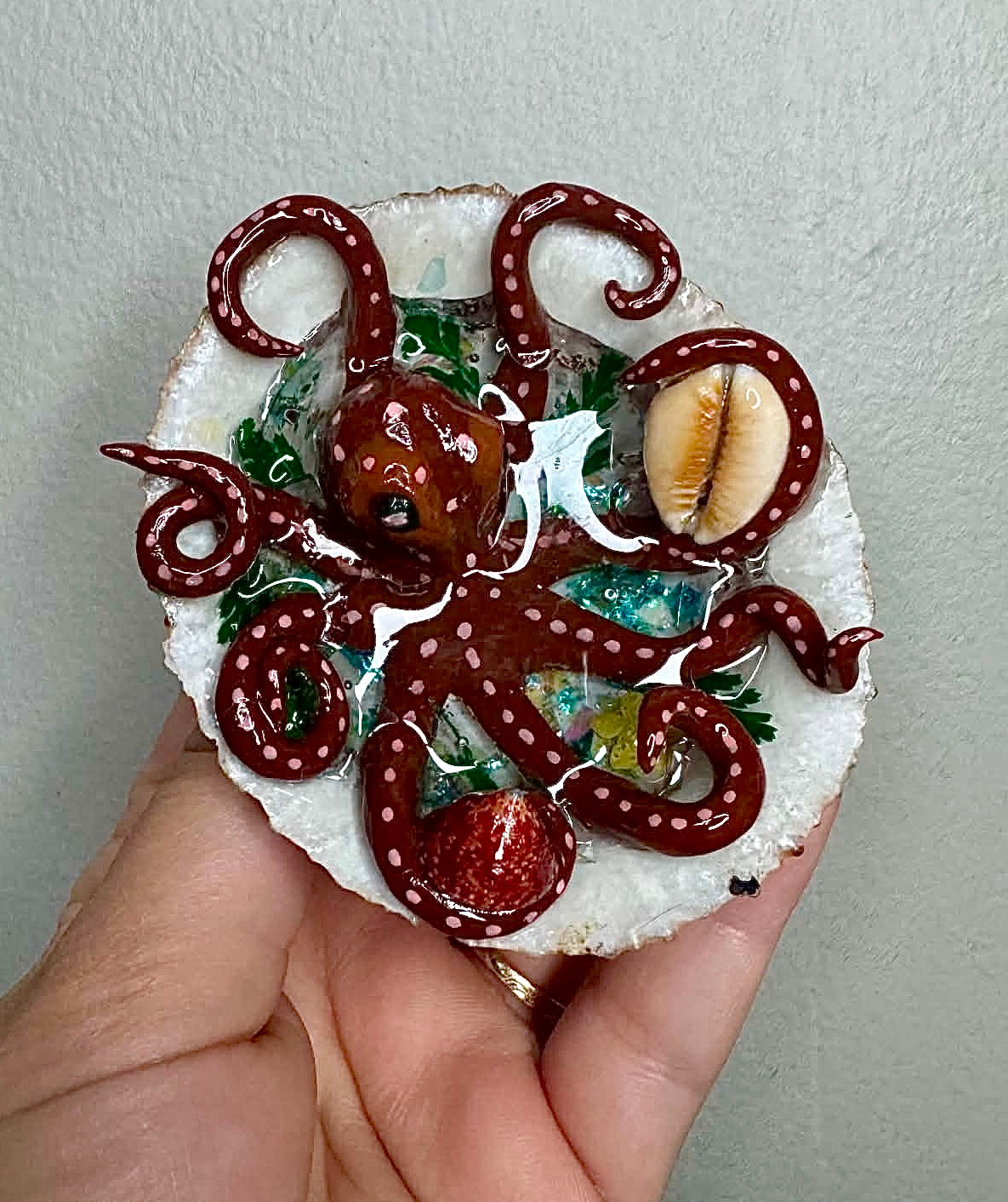 The Tide Collector✨🏝️