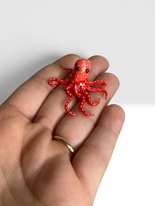 Squib - Mini Octopus ✨